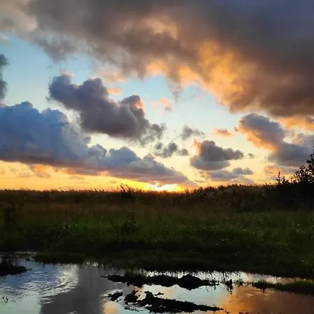 Tatil Evi Neti House *