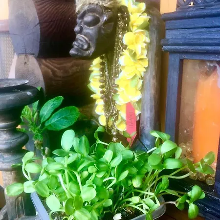 Neti House * Saunja (Laanemaa)