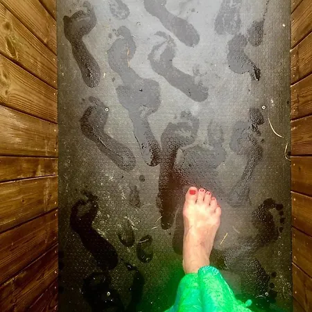 Neti House Tatil Evi