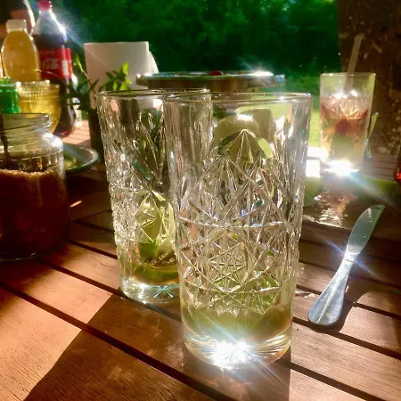 Neti House Saunja (Laanemaa)