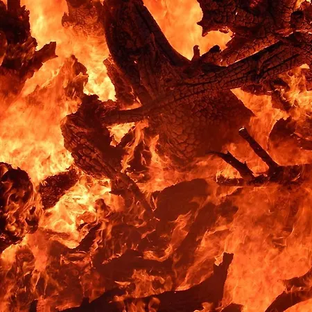 Neti House Saunja (Laanemaa)