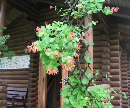 Neti Holiday House * Saunja (Laanemaa)