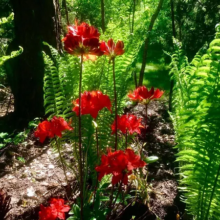 Tatil Evi Neti House *