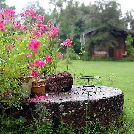 Tatil Evi Neti House Saunja (Laanemaa)