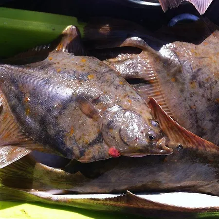 Tatil Evi Neti House *