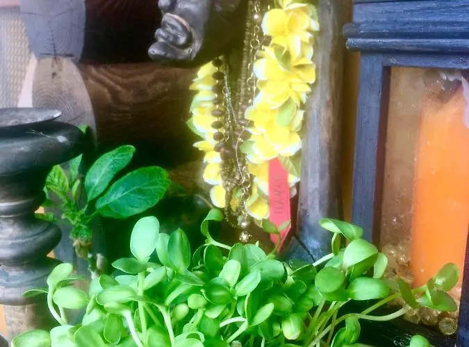 Neti House * Saunja (Laanemaa)