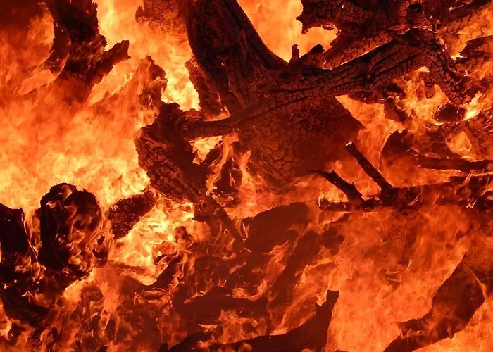 Neti House Saunja (Laanemaa)