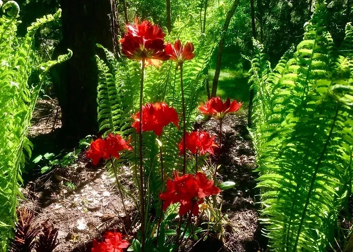 Casa vacanze Neti House *