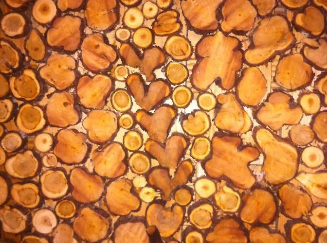 Neti House Casa vacanze Saunja (Laanemaa)