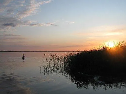 Neti House * Saunja (Laanemaa)