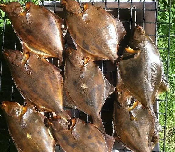 Neti House Casa vacanze Saunja (Laanemaa)