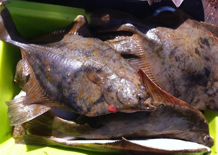 Casa vacanze Neti House *