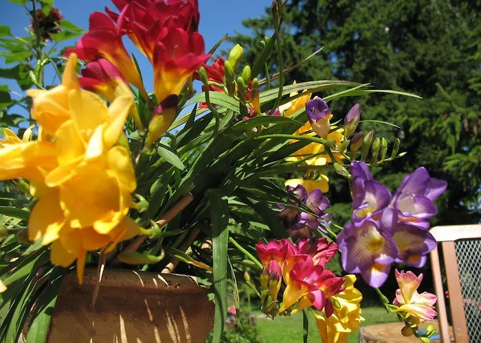 Neti House * Saunja (Laanemaa)