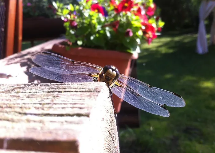 Neti Holiday House Vikendica *